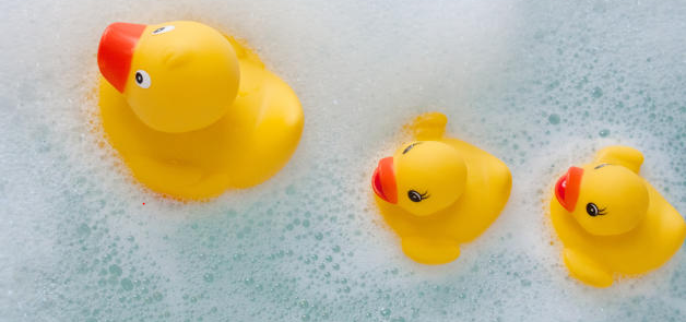 canards.PNG